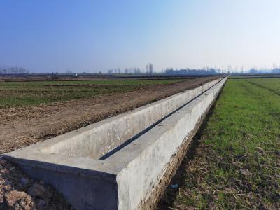 黄龙：推进高标准农田建设  夯实丰产增收基础