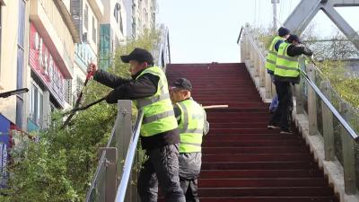 园林养护队：精心守护城市“绿意”