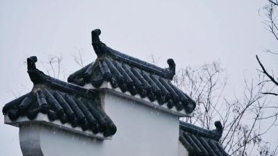 雪雪雪！来啦！