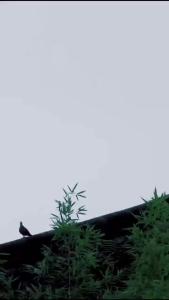 【田园诗乡+诗词共赏】送孟浩然归襄阳