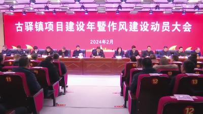 鼓舞干劲 表彰先进 推动镇域经济向好发展