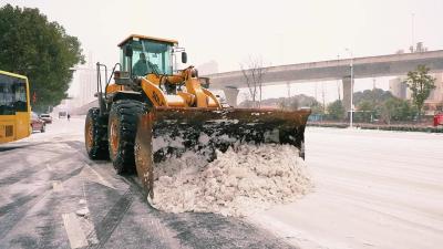 龙年初雪！碎步慢慢走 停步赏雪花