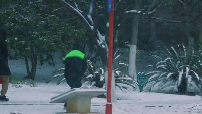 在雪天撒欢 是冬日的极致乐趣