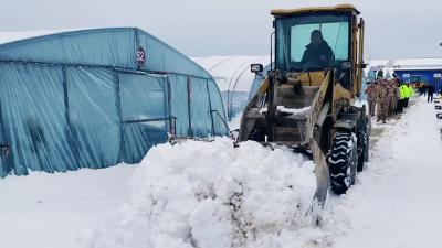 雪中护大棚 寒中送温暖