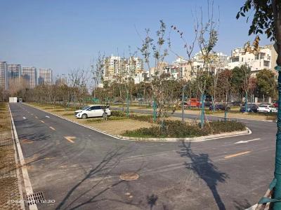 襄州区：春节期间免费开放2629个停车泊位