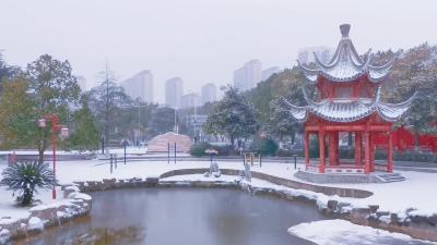 襄州雪景·浩然公园