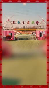 襄阳遛娃好”趣“处！看花灯、赏非遗、寻年味儿、逗萌宠