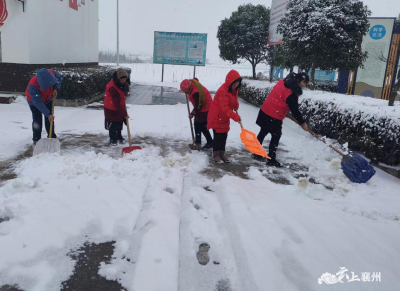 程河镇：扫雪除冰暖心田 巾帼志愿者在行动