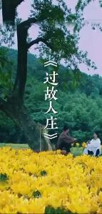 【田园诗乡 诗词共赏】过故人庄