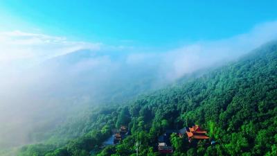 【小雅·鹿鸣】诗词陪您过大年