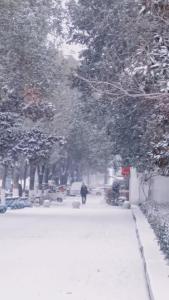 小年遇上大雪，出行注意安全