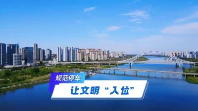 规范停车 让文明“入位”