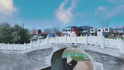 2024襄阳•朱集梨花生态旅游周启动