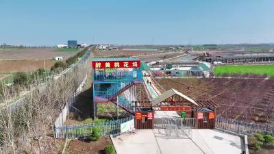黄龙丁湾：醉美桃花坞 醉了游客富了村民