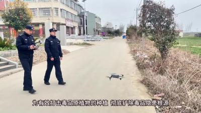 无人机空中“扫毒”  让“罪恶之花”无处藏身