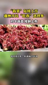“春菜”陆续上市 襄州市民“吃春”选择多