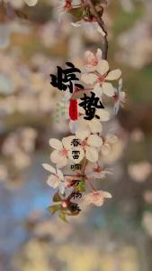 【二十四节气·惊蛰】春日惊醒 万物复苏.mp4