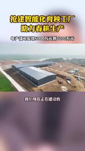 万象“耕”新  龙王镇：抢建智能化育秧工厂 助力春耕生产