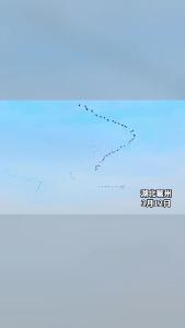 太壮观了 数百只大雁列阵迁徙.mp4