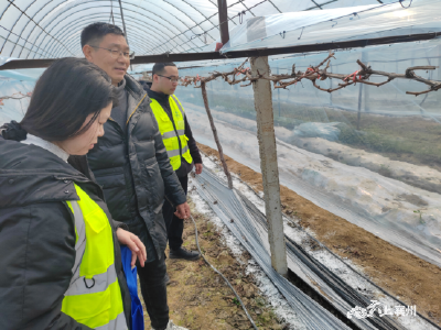 张家集镇：踏查隐秘处 禁毒铲毒不放松