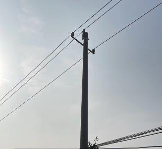 部门高效协同  织密电力“安全网”