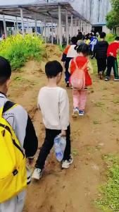 庭院经济助力乡村振兴