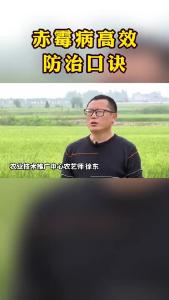 赤霉病高效防治口诀 赶快学起来