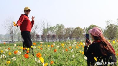 在襄州，体验“公园20分钟效应”