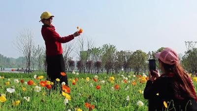 在襄州，体验“公园20分钟效应”