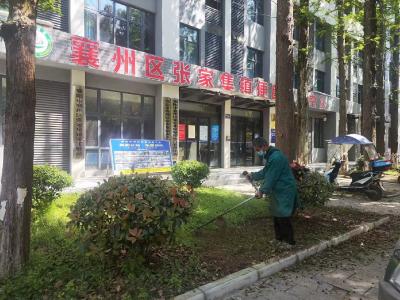 张家集镇便民服务中心：开展清洁家园活动  打造整洁政务环境