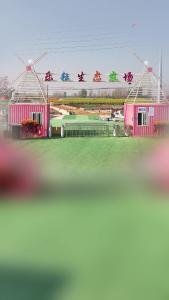 五一假期来这里赏花