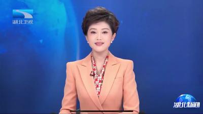 “大块头”有大智慧 湖北农机卖得俏