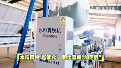 水稻育秧“智能化” 跑出春耕“加速度”