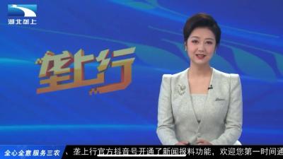 农场到餐桌 “襄州模式”打造湖北“金猪”招牌