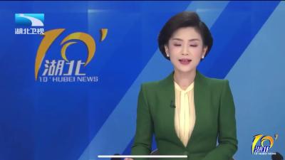 技术水平国际领先！湖北“植物疫苗”成功应用于小麦