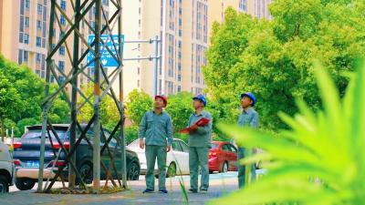 襄州供电：全面清理树障 确保城市电网安全运行
