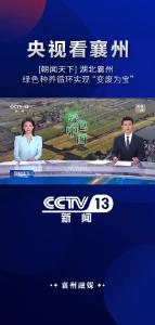【央视看襄州】绿色种养循环实现“变废为宝”