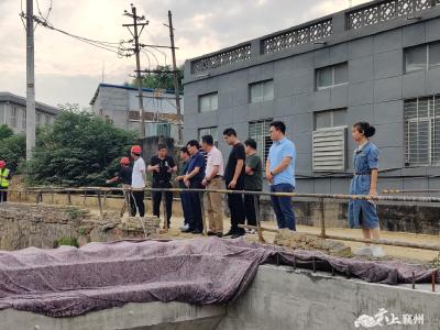 伙牌镇：人大代表为民办实事 助推桥梁修建暖民心