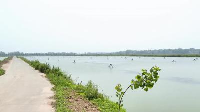 “小田并大田”赋能乡村振兴