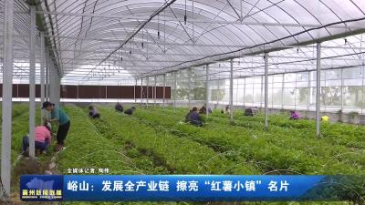 峪山：发展全产业链 擦亮“红薯小镇”名片
