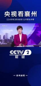 【央视看襄州】襄州：麦浪滚滚 拉开夏收序幕