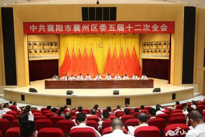 区委五届十二次全体会议精神引发强烈反响