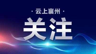 襄州区镇（街）财政财务审计中心党支部荣获“红旗党支部”荣誉称号