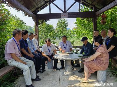 程河镇人大代表共商共议建设水上乐园