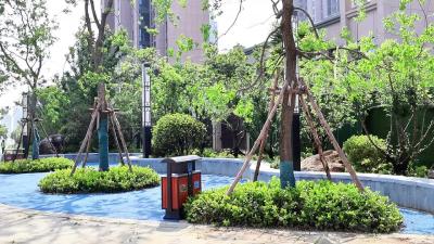 城市新绿肺 公园中的“海绵”巧思