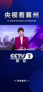 【央视看襄州】襄州：麦浪滚滚 拉开夏收序幕