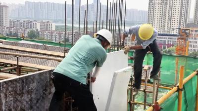 区住建局“节”尽所“能”，推动建筑业绿色转型升级