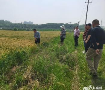 伙牌镇人大：用心用情当好群众“解铃人”