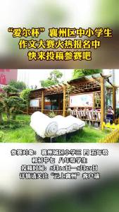 “爱尔杯”襄州区中小学生 作文大赛火热报名中快来投稿参赛吧