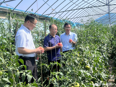 走访慰问鼓干劲   驻村帮扶显成效